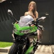 引人入胜星野咪兔萌宠 倾情呈现指尖绘画集